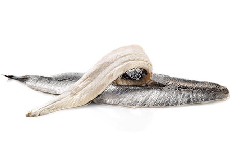 Productos boqueron